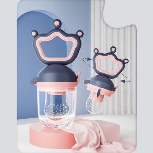 Silicone Pacifier & Fruit Feeder