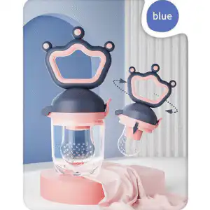 Silicone Pacifier & Fruit Feeder